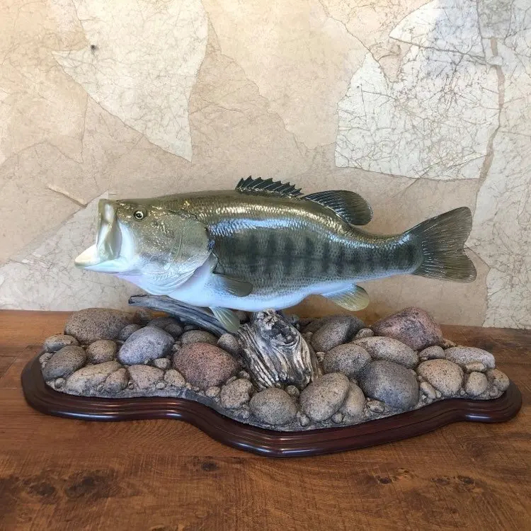Taxidermy fish mount by Orion Taxidermy and Safari Studio