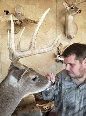 Taxidermy shoulder mount by Orion Taxidermy and Safari Studio