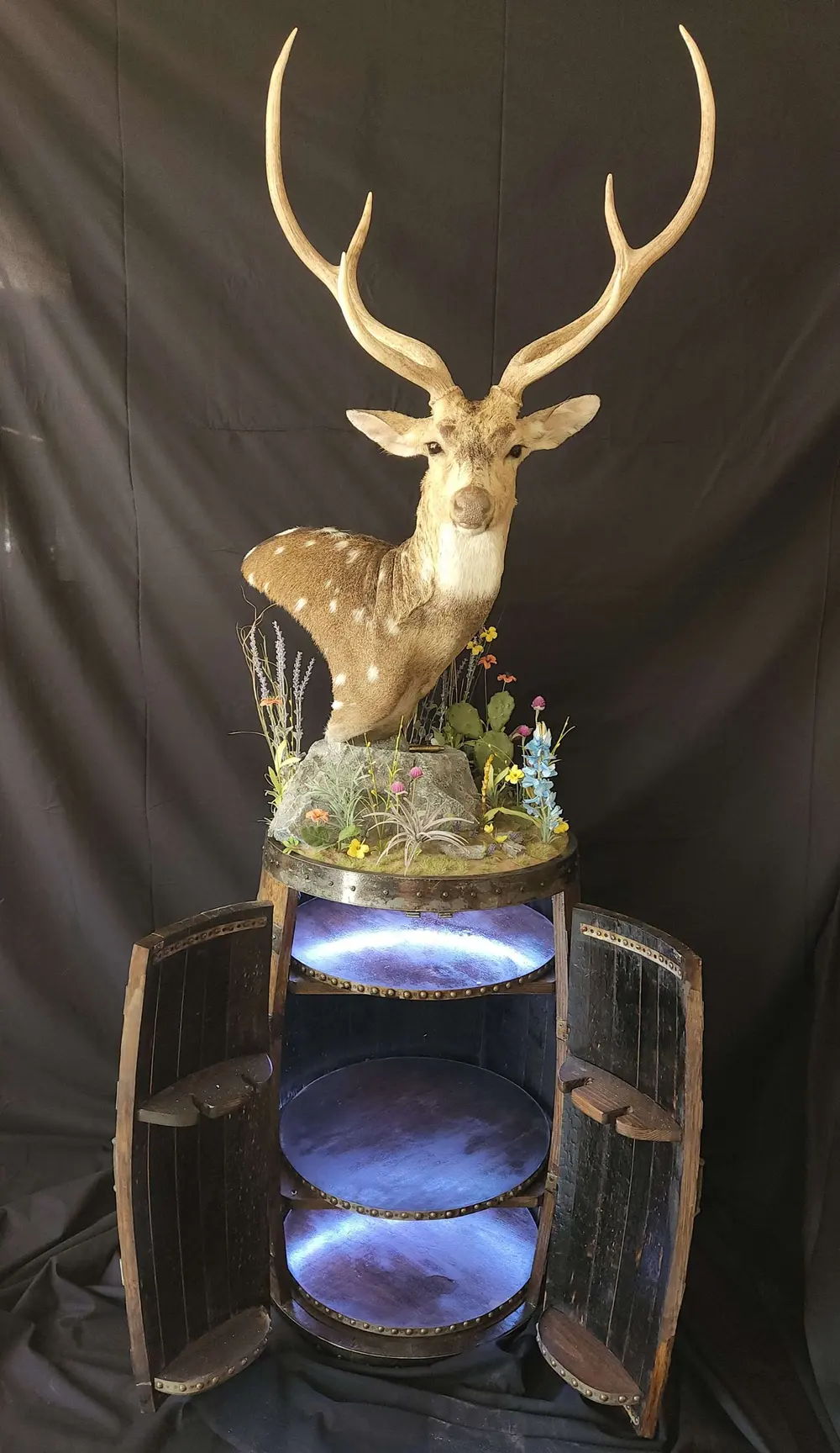 Taxidermy shoulder mount by Orion Taxidermy and Safari Studio