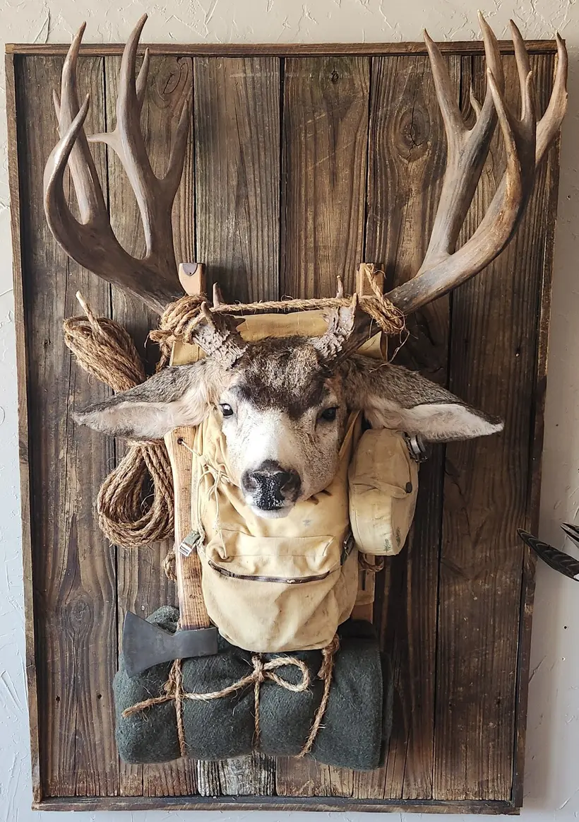 Taxidermy work by Orion Taxidermy and Safari Studio